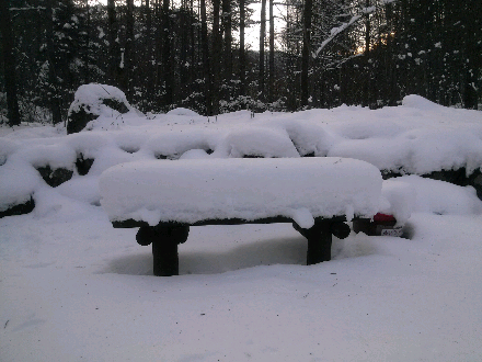 pic