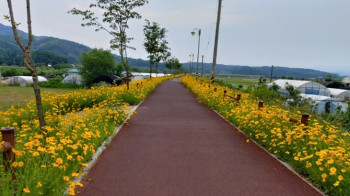 track