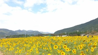 track