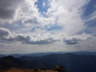 track