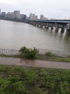 track